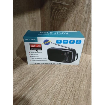 Radio dual band ICF-6