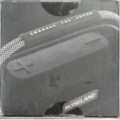 Boxa Portabila Roseland RS-510