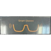 Smart Glasses Model M02S